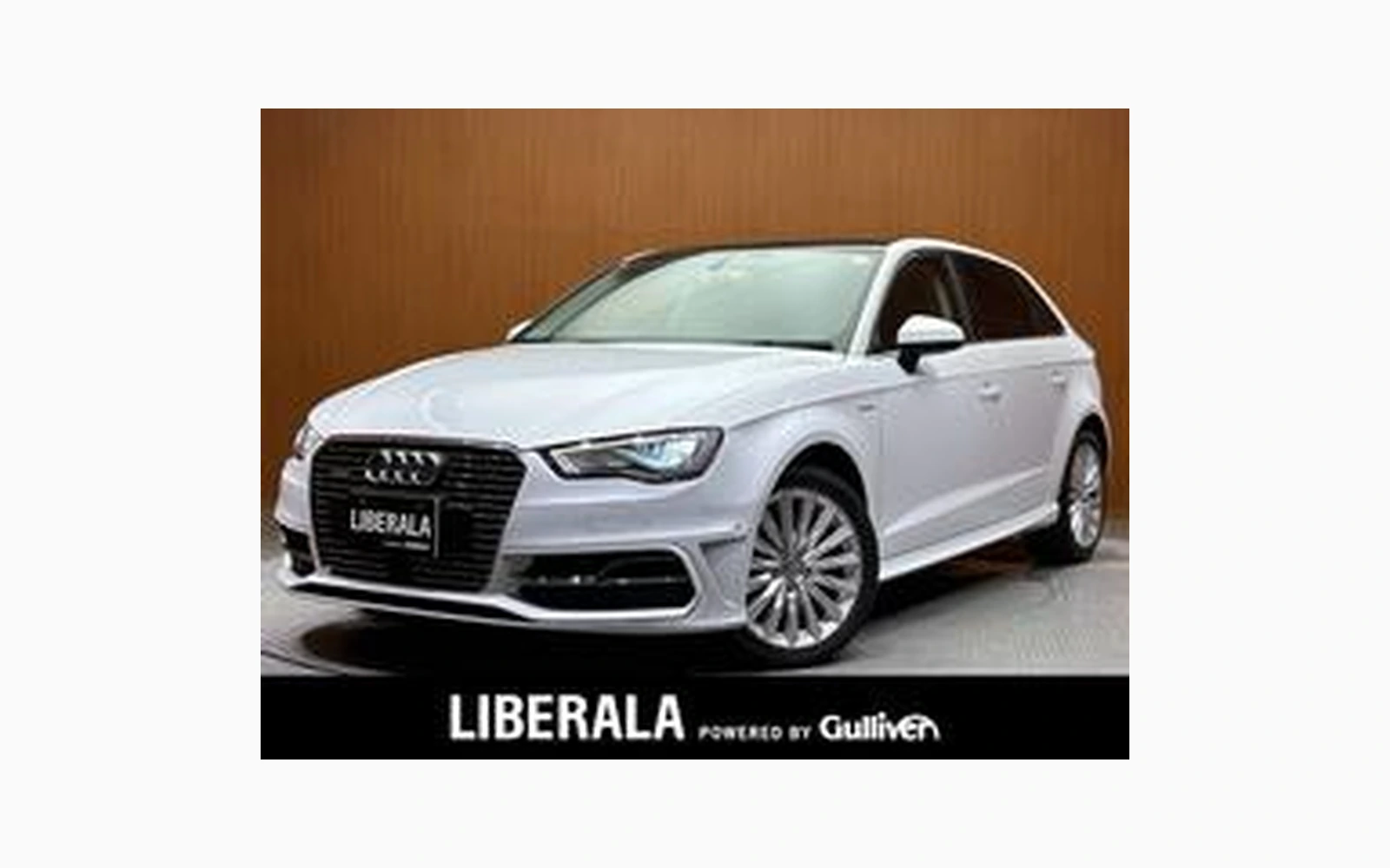 Audi A3 SPORTBACK E-TRON