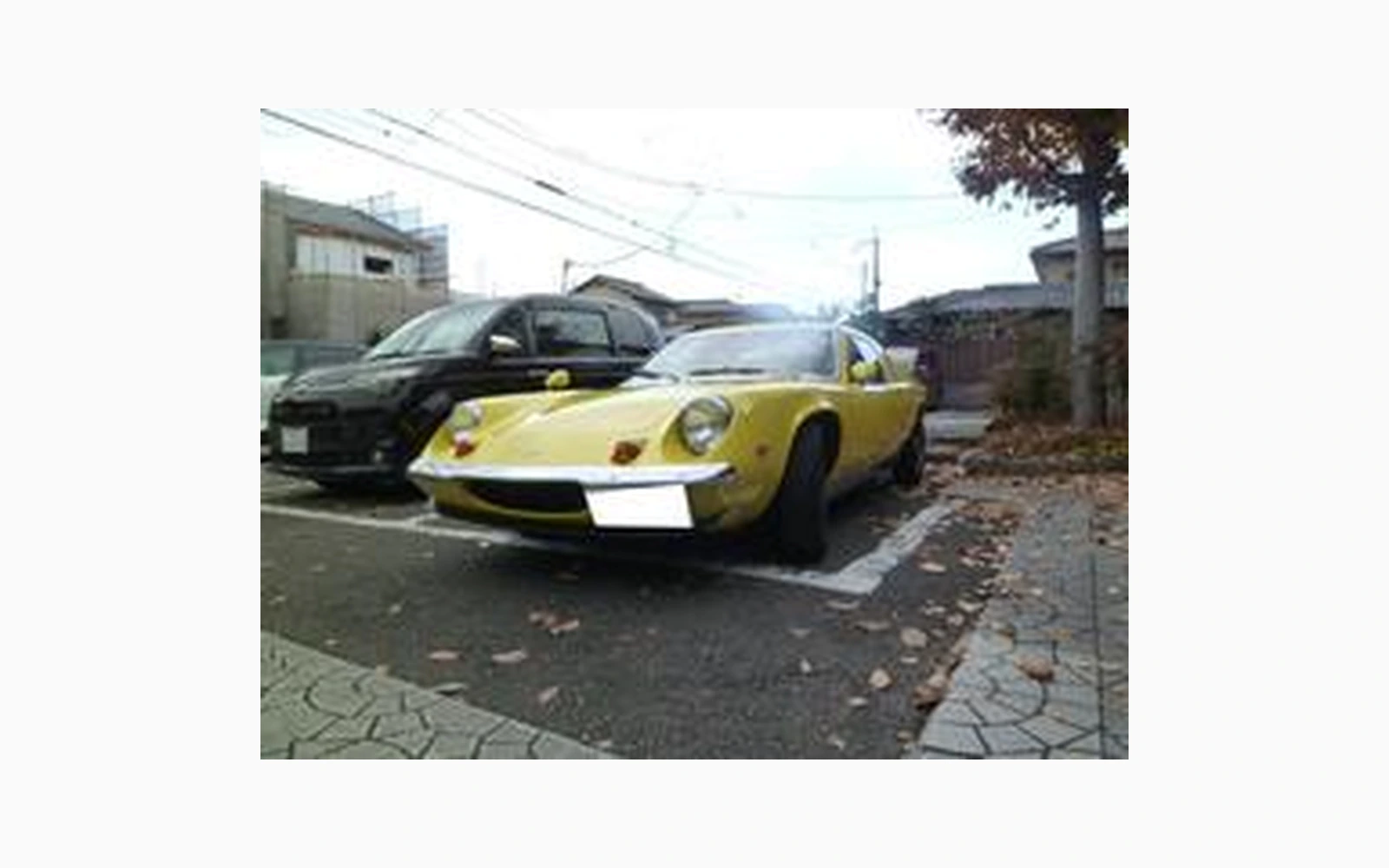 Lotus EUROPE